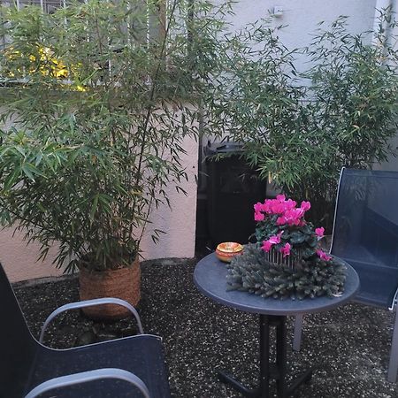 Ferienwohnung Riesling Bobenheim am Berg Экстерьер фото