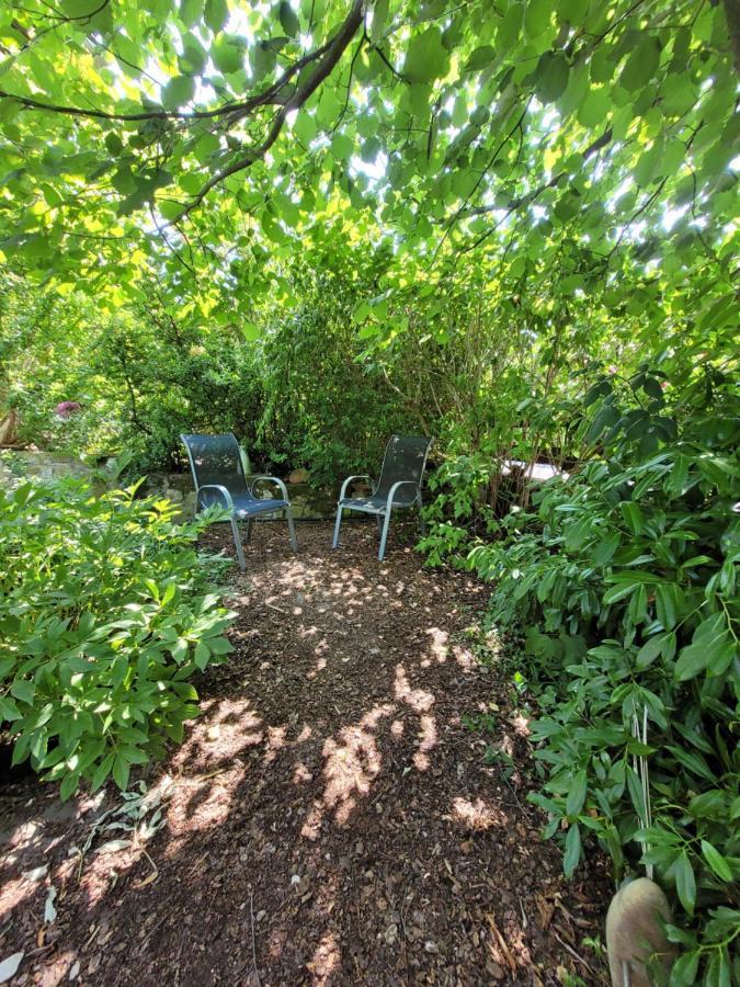Ferienwohnung Riesling Bobenheim am Berg Экстерьер фото