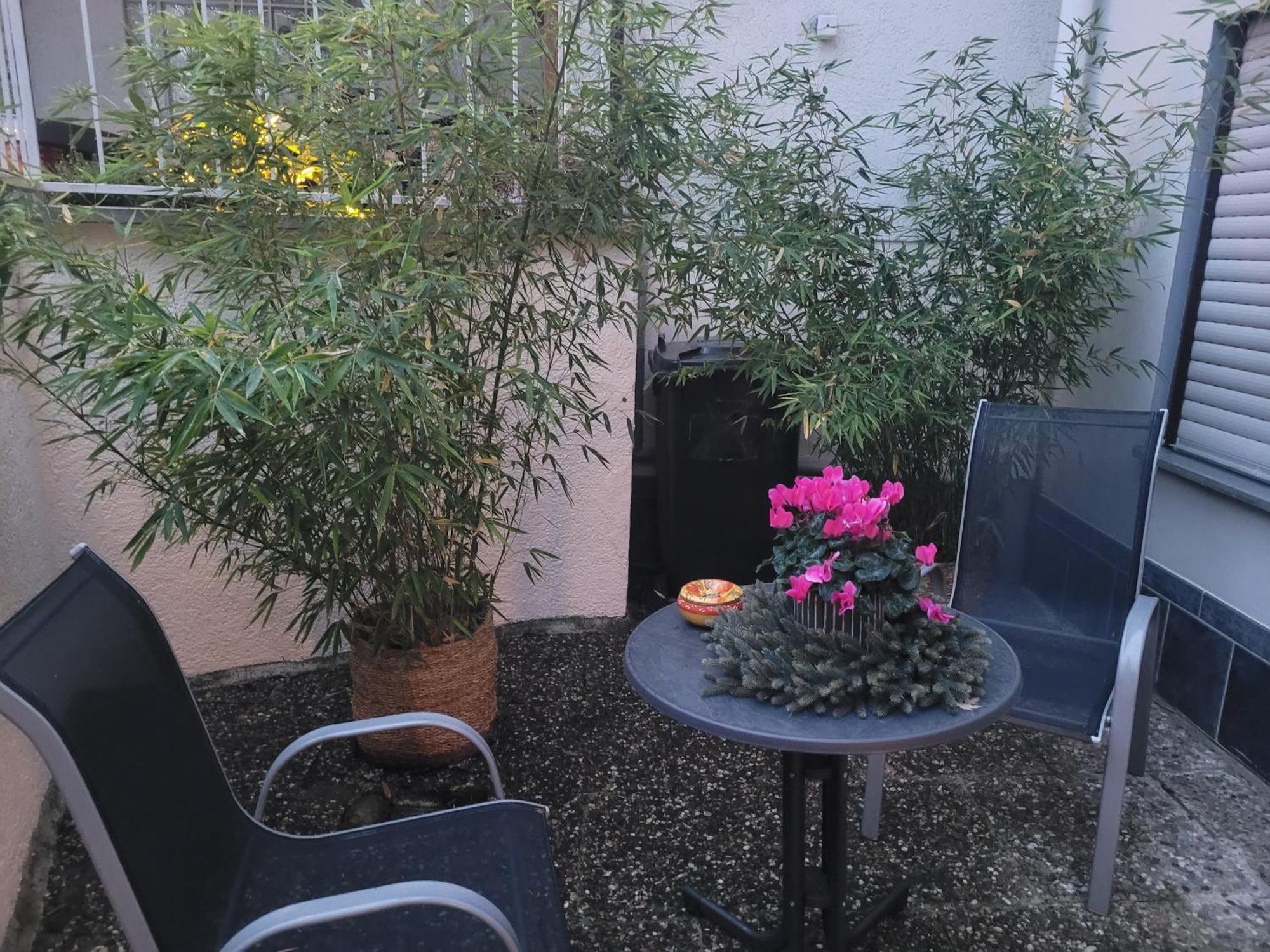 Ferienwohnung Riesling Bobenheim am Berg Экстерьер фото